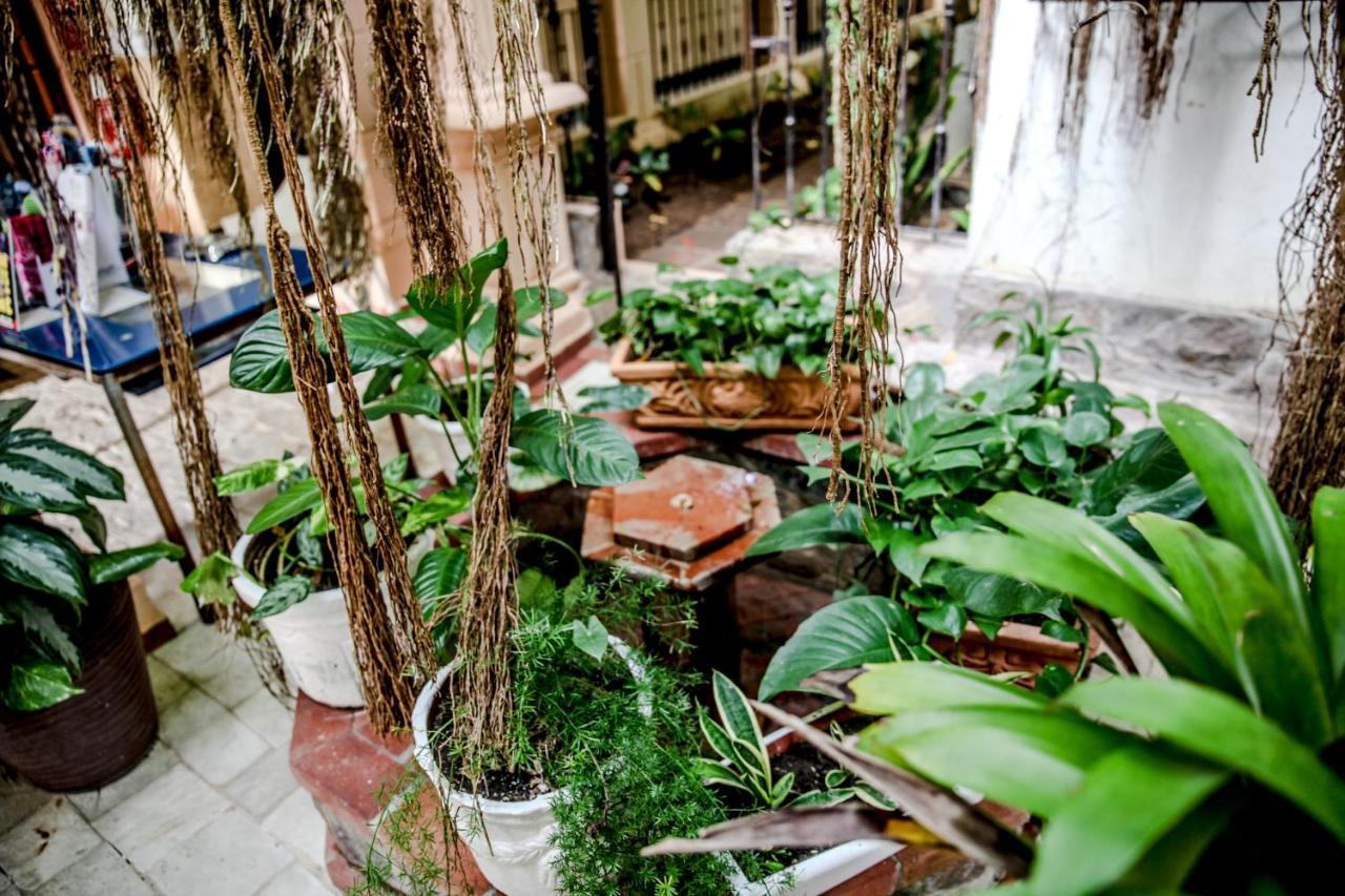Hotel Seranta Brisas De Bavaro (Adults Only) Punta Cana Ngoại thất bức ảnh